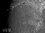 Celestron CCD Cam Skyris 274 Monochrom