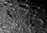 Celestron CCD Cam Skyris 445 Monochrom