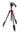 Manfrotto Compact Action Rouge