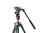 Manfrotto Befree kit with live head